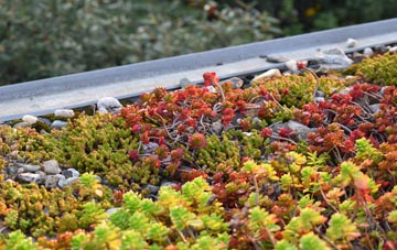 the cost of Greave green roof installation