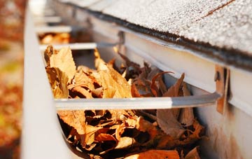 Greave gutter cleaning companies