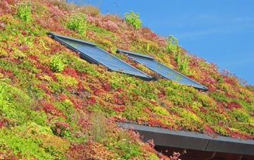 Greave living roof systems