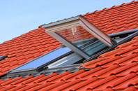 Greave roof window